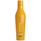 GK Hair GK CBD Vegan Shampoo 240ml