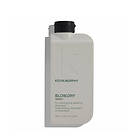 Kevin Murphy Blow.Dry Wash 250ml