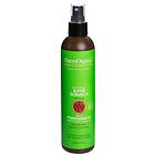 DermOrganic Super Scrunch Hair Spray 55% 236ml