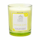 Shearer Candles Candle Jar With Lid Persian Lime 35h