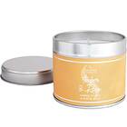 Shearer Candles Large Tin Amber & Rose 40h