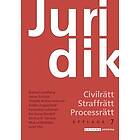 Konrad Lundberg, Johan Schüldt, Theddo Rother-Schirren, Anders Lagerstedt, Catharina Calleman: Juridik civilrätt, straffrätt, processrätt, u