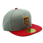 Harry Potter Gryffindor House Snapback Keps Grå Röd