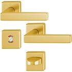 Swedoor Trycke Dallas med WC-vred gold, quick-fit