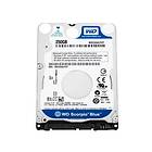 WD Blue WD2500LPVT 8Mo 250Go