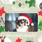 Hunde: Adventskalender