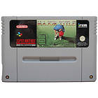 Major Title (SNES)