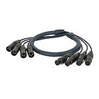 DAP Audio DMX Snake 4 way 3 pole XLR 10m Neutrik