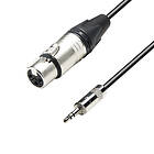 Adam Hall XLR Fe > 3,5mm Ma 3m