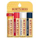 Burt's Bees Lip Balm Stick 4-pack
