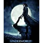 Underworld: Evolution (UK) (DVD)