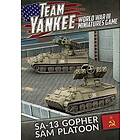 Soviet SA-13 Gopher SAM Platoon