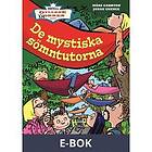 De mystiska sömntutorna, E-bok