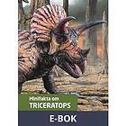 Nypon förlag Minifakta om triceratops, E-bok