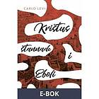 Modernista Kristus stannade i Eboli, E-bok