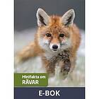Nypon förlag Minifakta om rävar, E-bok