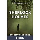 Modernista Baskervilles hund, E-bok