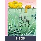 Hur mår Dim?, E-bok
