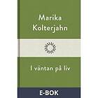 Modernista I väntan på liv, E-bok