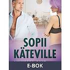 LUST Sopii käteville – eroottinen novelli, E-bok