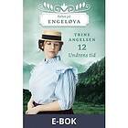 Undrens tid, E-bok