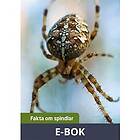 Nypon förlag Fakta om spindlar, E-bok