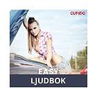 Cupido Easy trucker rider – eroottinen novelli, Ljudbok