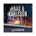 Ordfront förlag Det uppenbara, Ljudbok