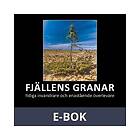 Fjällens granar: tidiga invandrare och enastående överlevare, E-bok