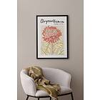 Ellos Poster Chrysanthemum Orange 35X50