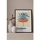 Ellos Poster Fritallaria Rosa 18X24