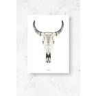 Malerifabrikken Poster Cow skull Plano Vit 30X40