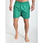 Minimum Berg Shorts Verdant Green (Herr)