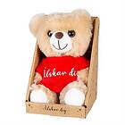 Valentine Teddybjörn Älskar Dig