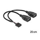 DeLock USB intern till extern kabel USB till 9 pins USB-samlingslåda 20 cm