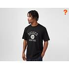 Dickies t-shirt Relaxed fit (Herr)