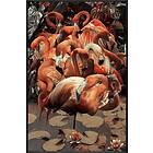 Nordic Furniture Group Tavla Flamingo Multi