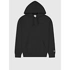 Champion hoodie Regular fit Male