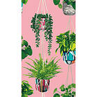 Ohpopsi Houseplant Bubblegum GRA50109W