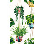 Ohpopsi Houseplant Parakeet GRA50112W
