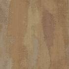 Parato Textum 24408