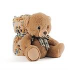 Teddy Bear Soft blanket plush toy 22cm