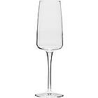 Bormioli Rocco Nexo verre de champagne 24 cl