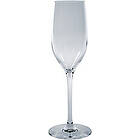 Chef & Sommelier Séquence Champagneglas 17 cl