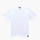 Dickies T-Shirt 3 pack (Men's)