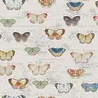 Butterfly John Derian Studies Parchment PJD6017-01