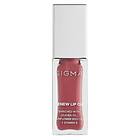 Sigma Lip Oil All Heart 5,3ml