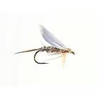 Xstream Gold Ribbed Hare's Ear #12 Dobbelkrok