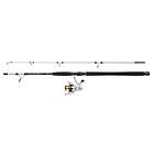 Mitchell Tanager SW Boat Spinning Combo 2-delt, 100-300g