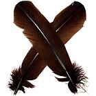 Veniard Turkey broad Wing Quill Dyed Brown Grymt vingmaterial till laxflugor